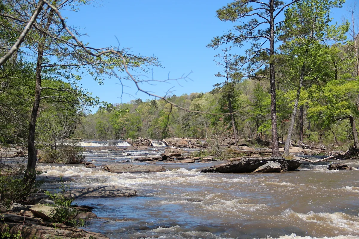 Sweetwater Creek in Sweetwater Creek State Park